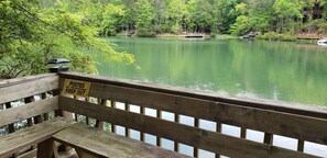 Property grounds - Private dock on Cherry Lake, Hot Tub, Fire Pit (Blue Ridge)