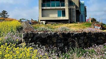 1 bedroom, free WiFi