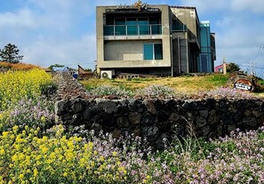 1 chambre, Wi-Fi gratuit