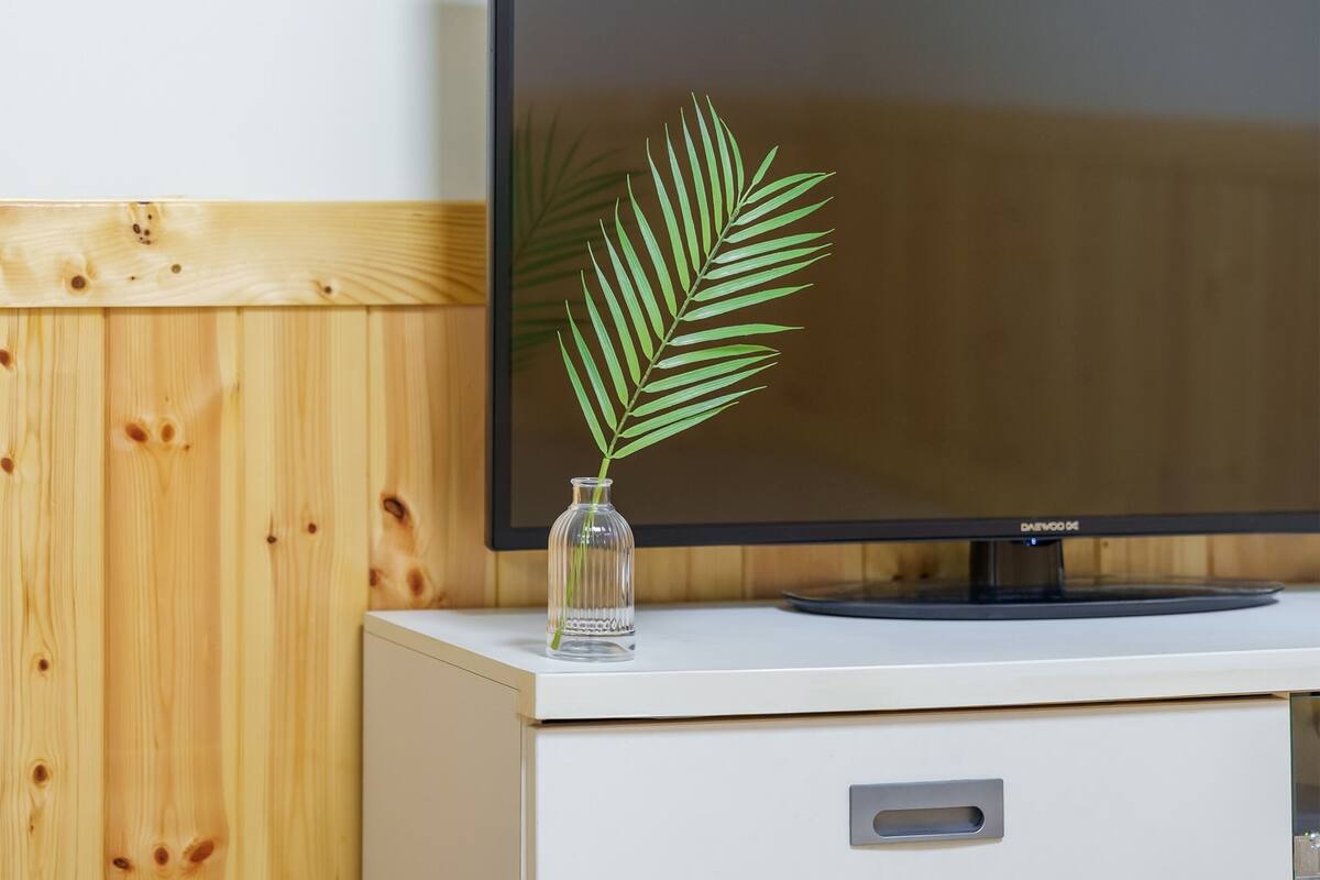 A flat-screen TV on a white cabinet with a glass vase containing a green plant.