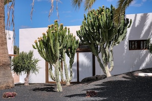 Detalle exterior