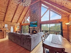 TV, fireplace, video games, DVD player