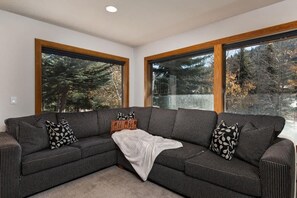 TV, fireplace, offices