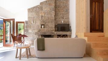 Smart TV, fireplace, books