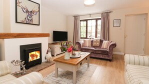 A cozy living room with a fireplace, a sofa, a coffee table, and a television. - Blueberry Cottage (Dorchester)