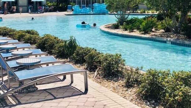A swimming pool with lounge chairs, palm trees, and a water slide.