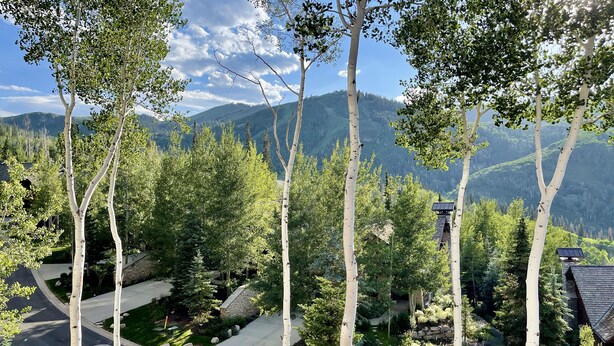 A residential area with a driveway leading to a house, surrounded by trees and a mountainous backdrop.