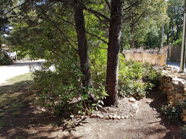 House, 2 Queen Beds | Property grounds