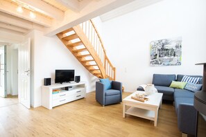 Televisión, chimenea, libros