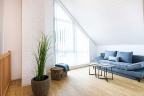 TV, fireplace, books