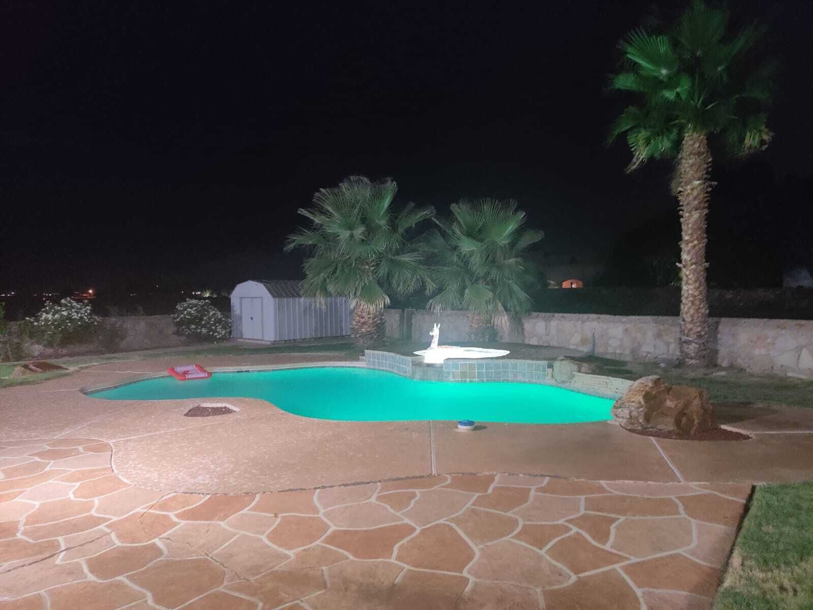 Un patio trasero con piscina, terraza de piedra, palmeras y un cobertizo.