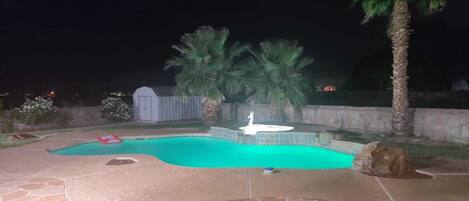 Un patio trasero con piscina, terraza de piedra, palmeras y un cobertizo.