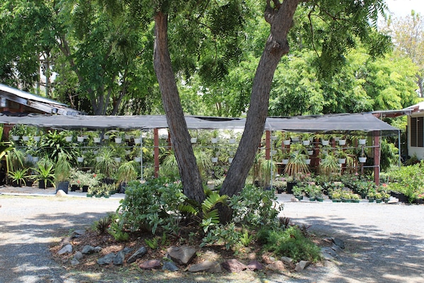 Un jardin agrémenté de plantes en pot et d’arbres, un espace abrité avec des plantes, et un chemin de gravier.