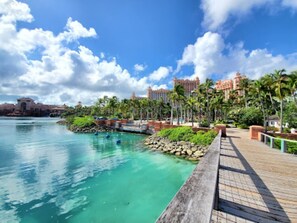 Terrain de l’hébergement 