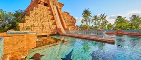 Utendørsbasseng og et oppvarmet basseng