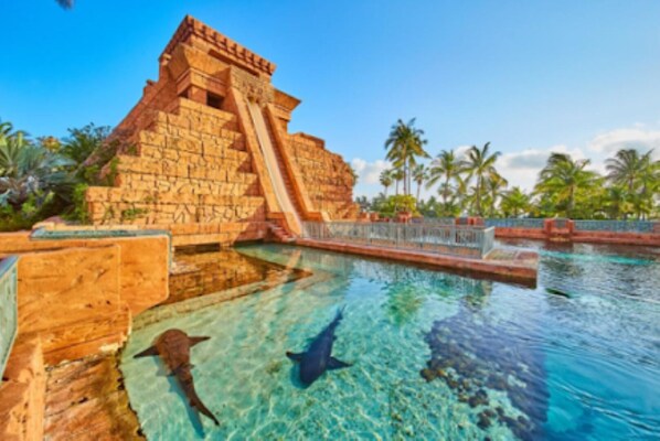 Piscine extérieure, piscine chauffée