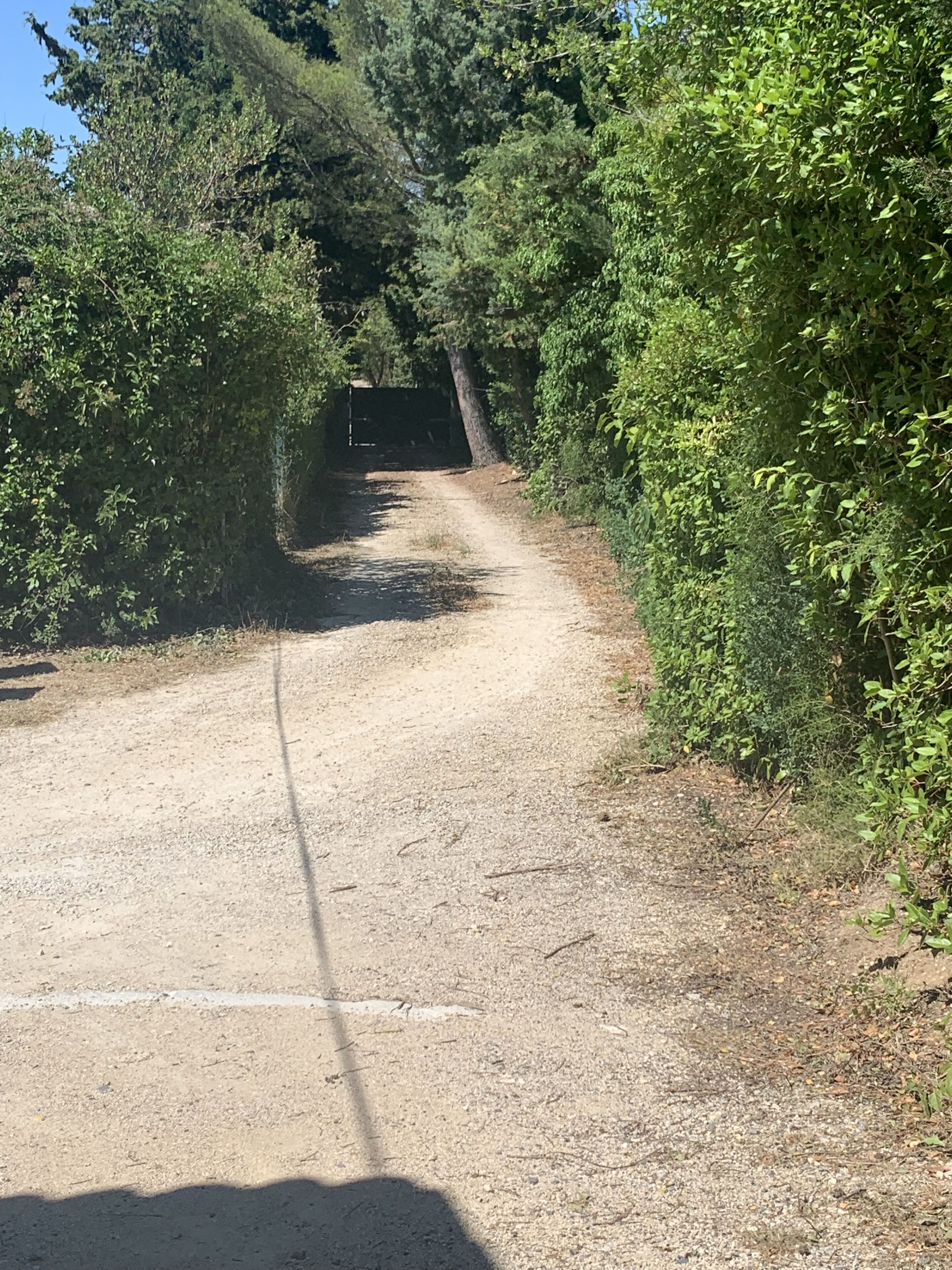 Un sentier de terre, bordé d’une végétation luxuriante, mène à un portail.
