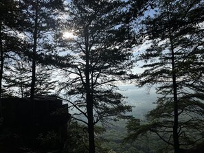 Unclassified image, 4 of 5, button