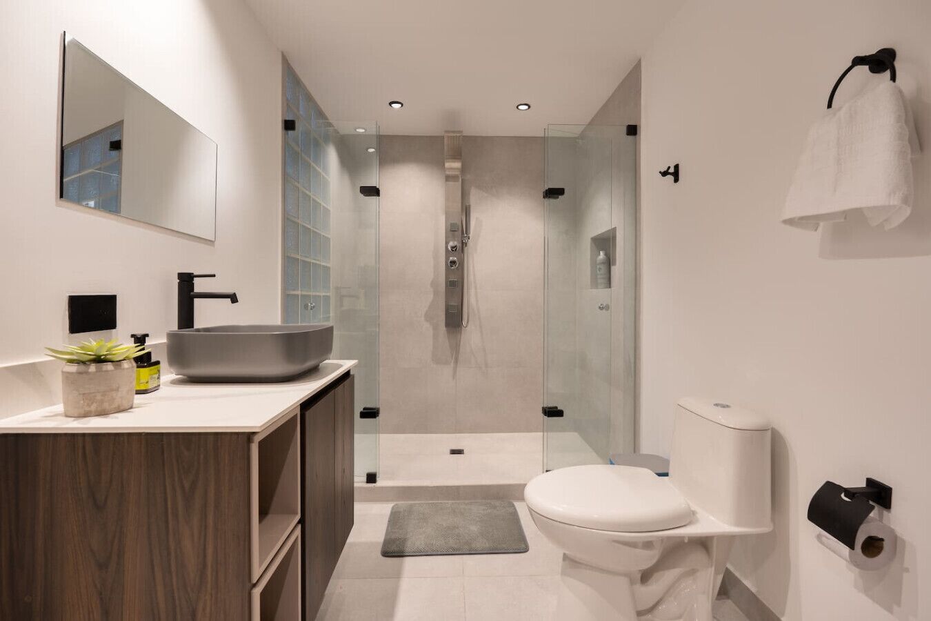 Ducha y secador de pelo