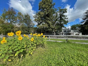 Property grounds - 1828 Farmhouse Country Estate in The Heart of The Catskill Mountains  (Cornwallville)