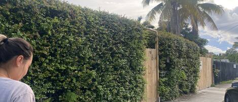 Área da propriedade