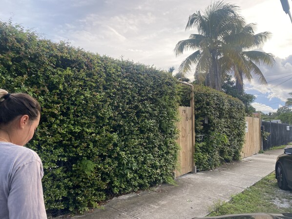 Stroll through a serene residential area surrounded by lush greenery and a palm tree.