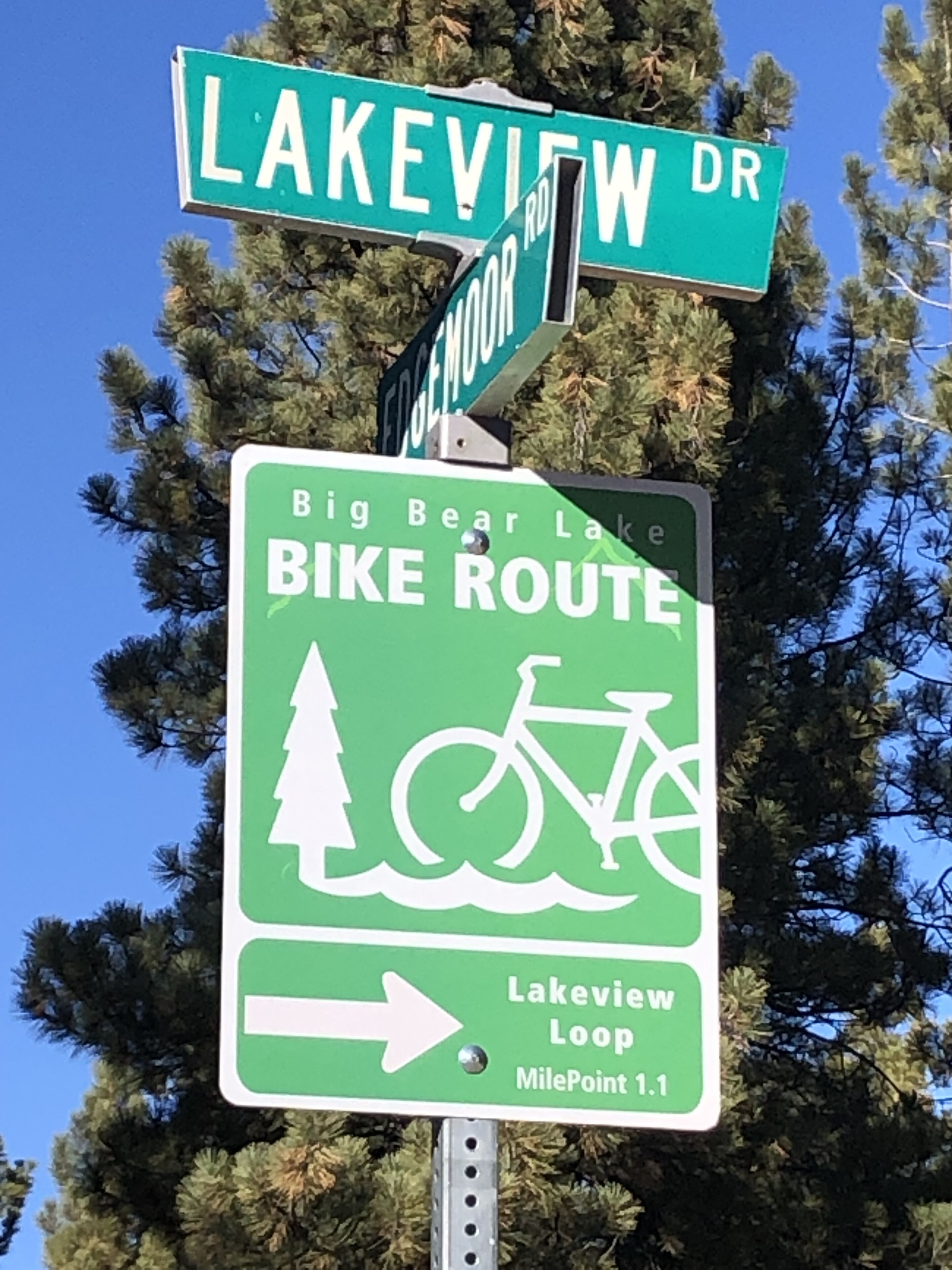 A street sign for Lakeview Dr and Big Bear Lake Bike Route pointing towards the Lakeview Loop.