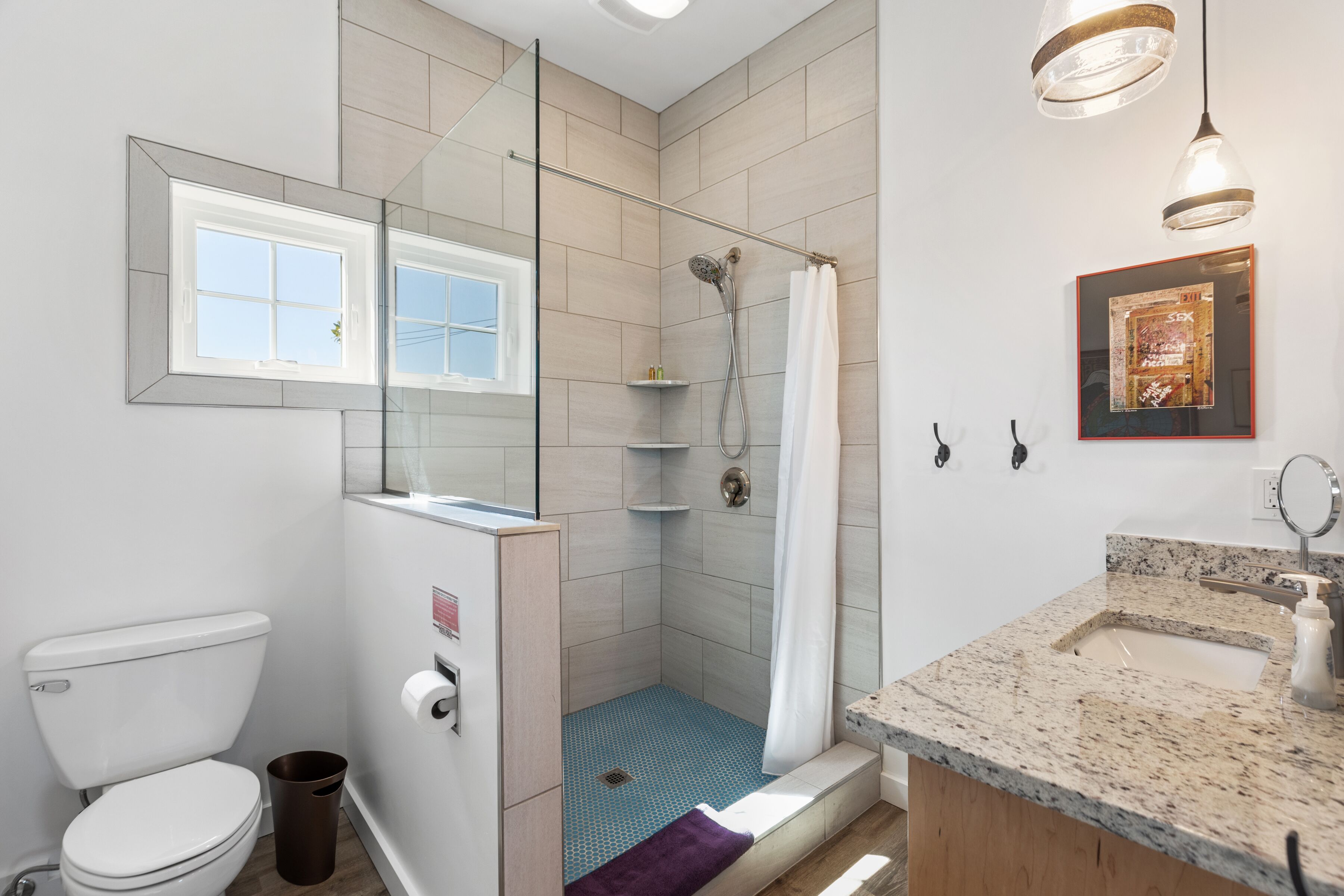 Shower, hair dryer, towels