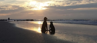 Boutique Hotel Folly Room 5: King Deluxe Studio - cozy porch views of the Folly River ADA