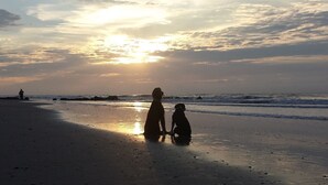 Une scène de plage avec deux chiens et une personne, au coucher du soleil.