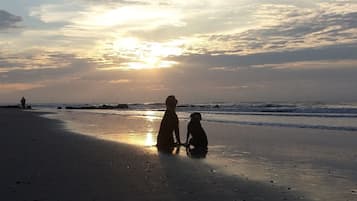 Vlak bij het strand