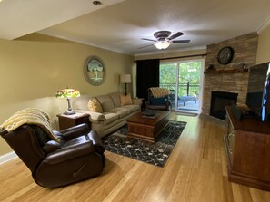 TV, fireplace, DVD player