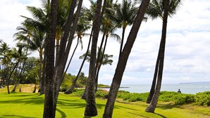 A tropical landscape with palm trees and a view of the ocean. - Exceptionally Remodeled Oceanfront, Sunsets,  A/C, King bed Hale Kai O Kihei (Kihei)