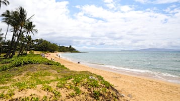 Plage, chaises longues, serviettes de plage