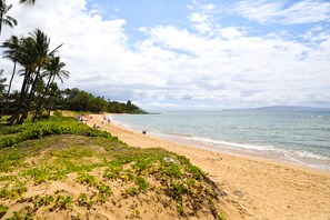 Plage, chaises longues, serviettes de plage