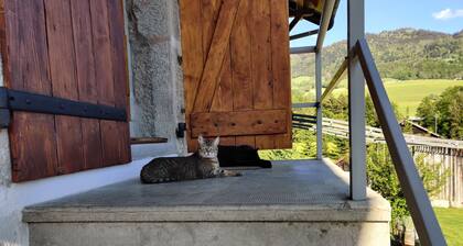 Joli appartement, d'environ 50m2 entiÚrement rénové, situé au rez-de-chaussé