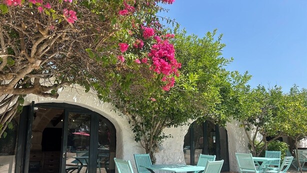 An outdoor patio with a table and chairs, surrounded by arches and a tree with pink flowers. - Matchani Gran (Mahón)