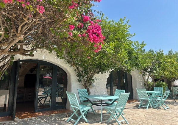 Vista desde la propiedad