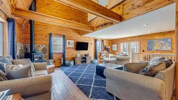 TV, fireplace, video-game console, DVD player