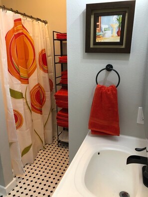 Combined shower/bathtub, hair dryer