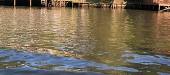 Cypress Chalet- Caddo Lake Cabin 4 with Kayaks! Caddo Lake Cabins, Oil City, La