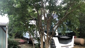 A white RV parked in a yard with a tree in the foreground.