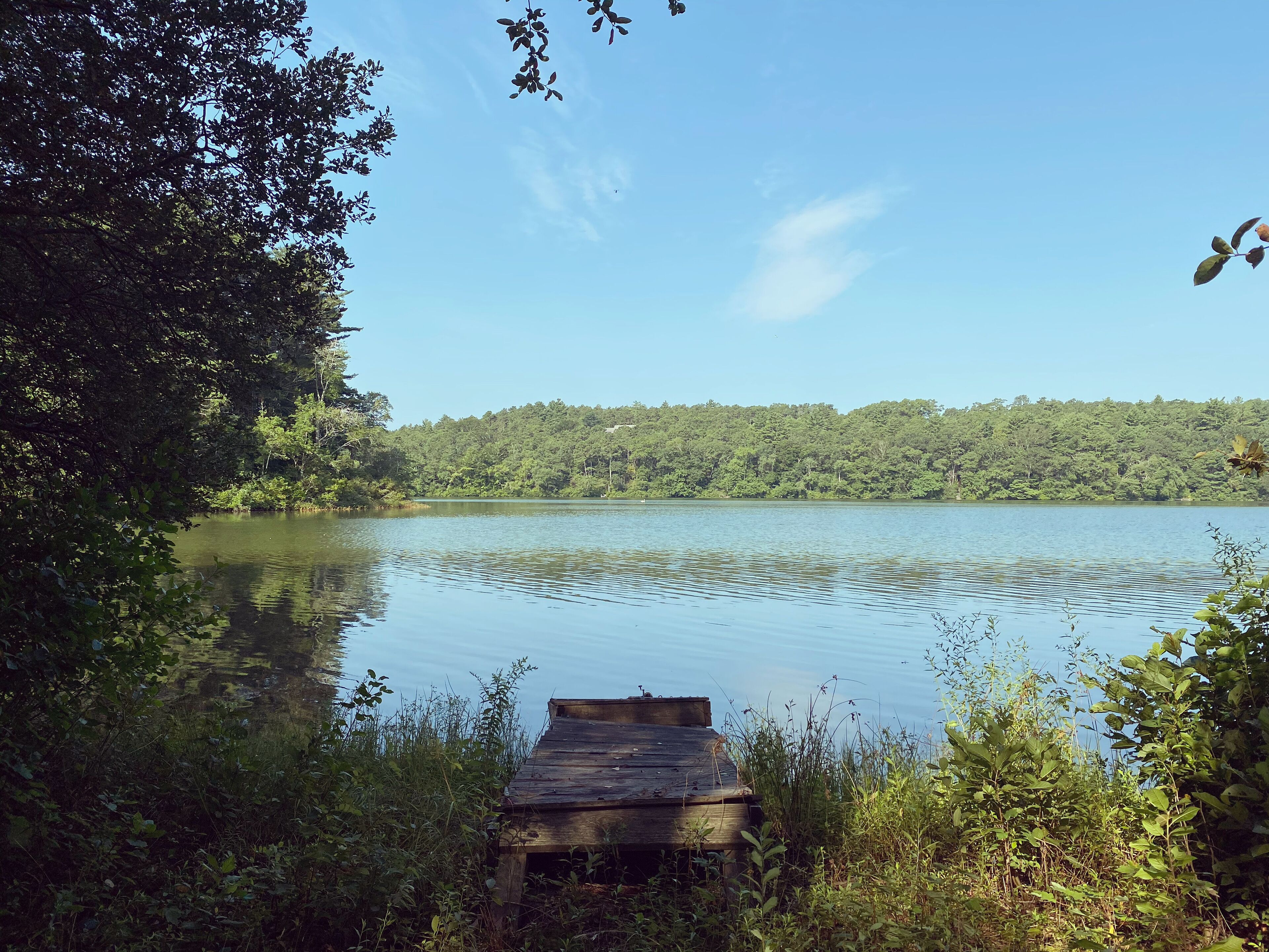 1897 Pond View Guest Cottage