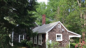 A small wooden cabin with a sloped roof, surrounded by dense greenery and flowering plants.