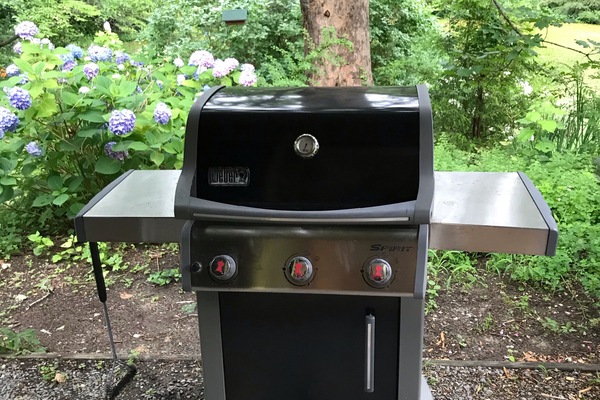 Weber grill