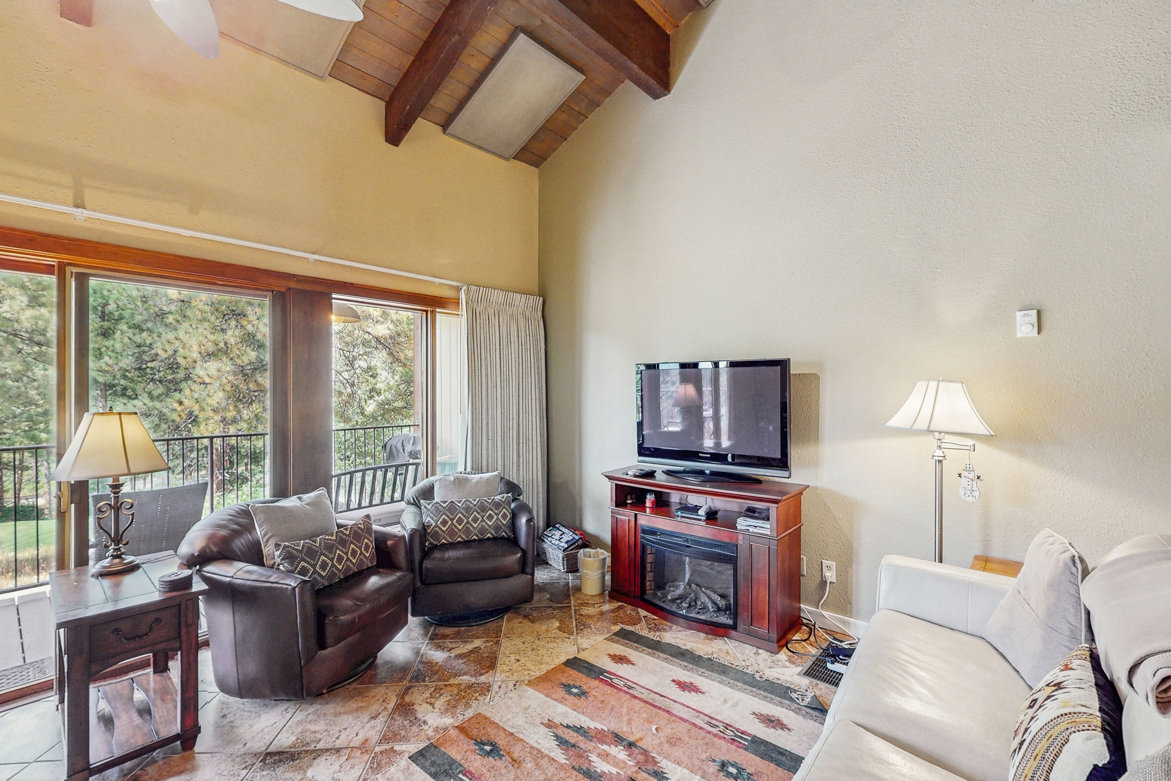 TV, fireplace, books