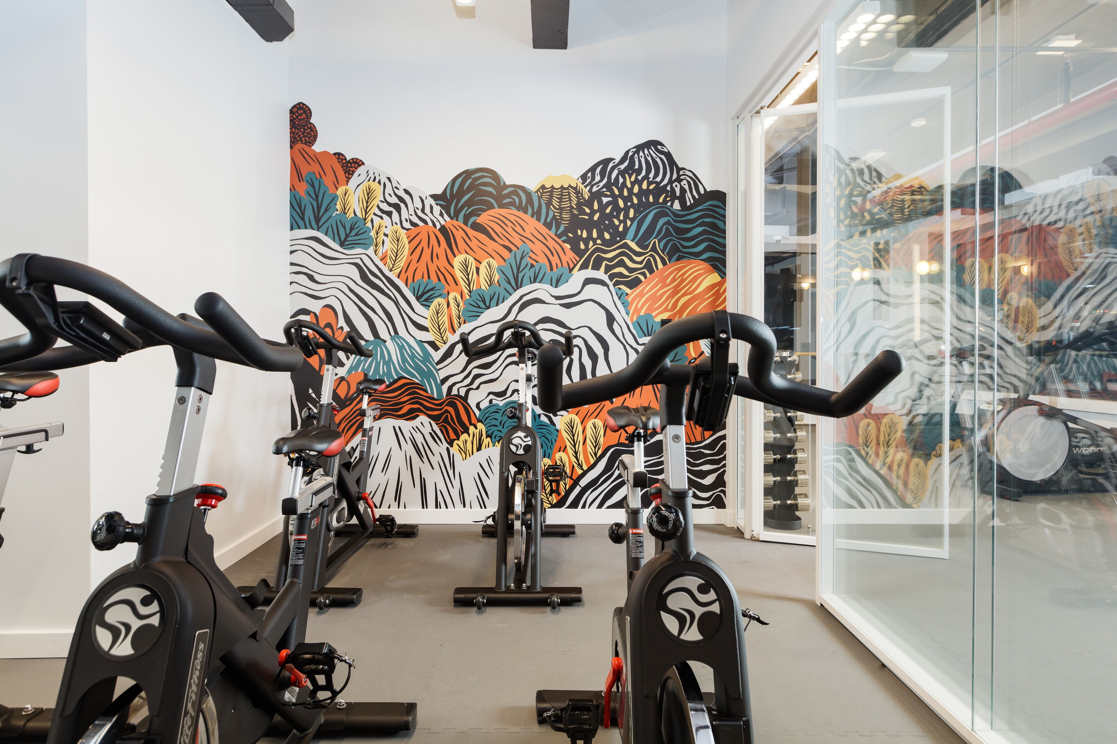 A gym with stationary bikes, a colorful mural on the wall, and a glass wall reflecting the interior.