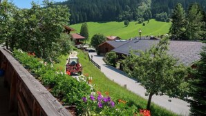 A rural village with traditional wooden houses, a paved road, and a mountain backdrop. - Jaggler by Interhome (Wildschönau)