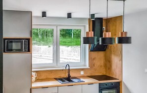 Kühlschrank, Mikrowelle, Herdplatte, Geschirrspüler