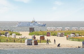Vlak bij het strand, vissen